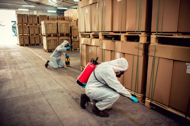 Best Emergency Pest Control  in Kearney, MO