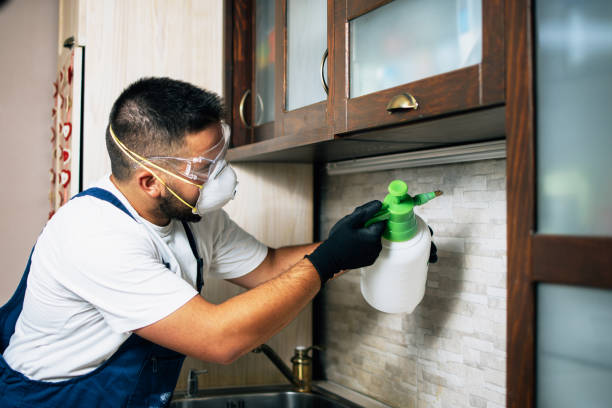Best Pest Control Near Me in Kearney, MO