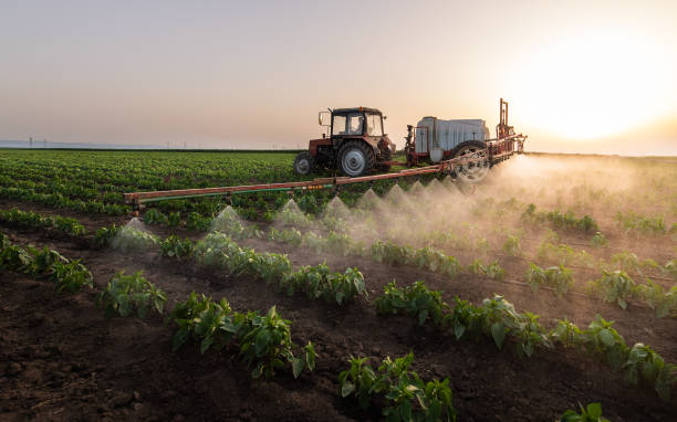 Best Pest Control for Homes  in Kearney, MO