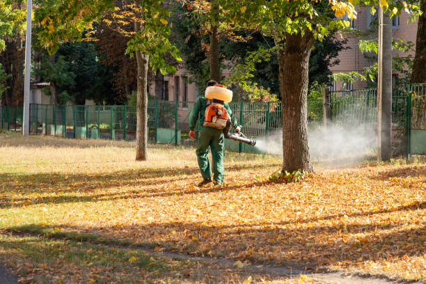 Pest Prevention Services in Kearney, MO