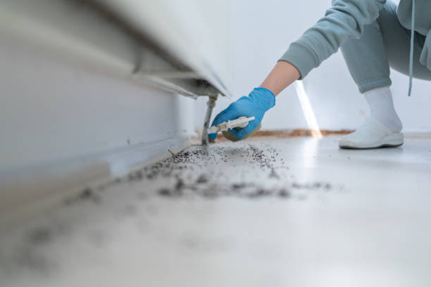 Professional Pest Control in Kearney, MO
